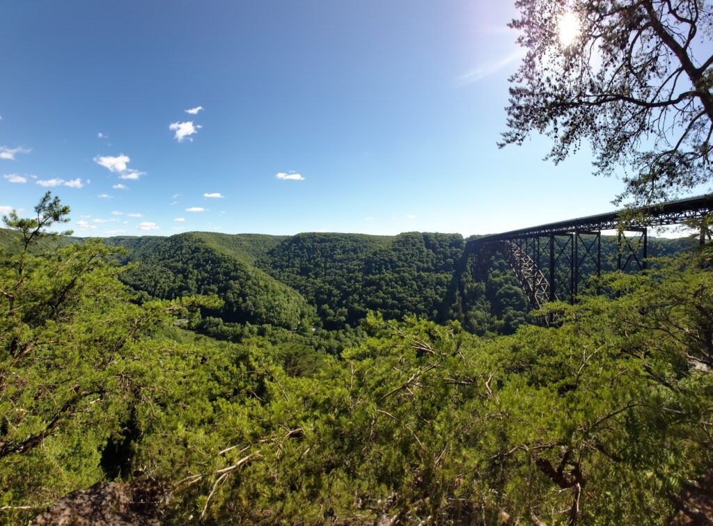 lukas-wimmer-supervize-kaktus