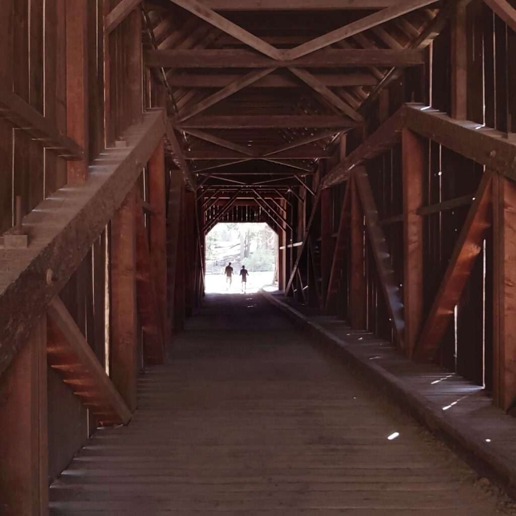 Lukáš-Wimmer-Cena-Podmínky-Systém-Most