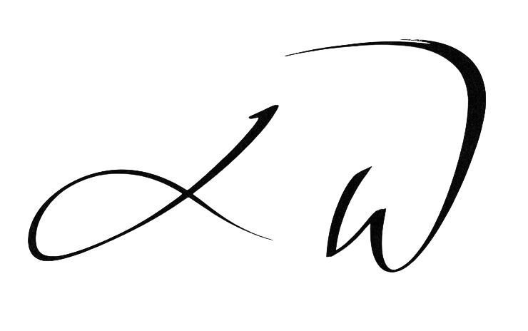 Lukáš Wimmer iniciály