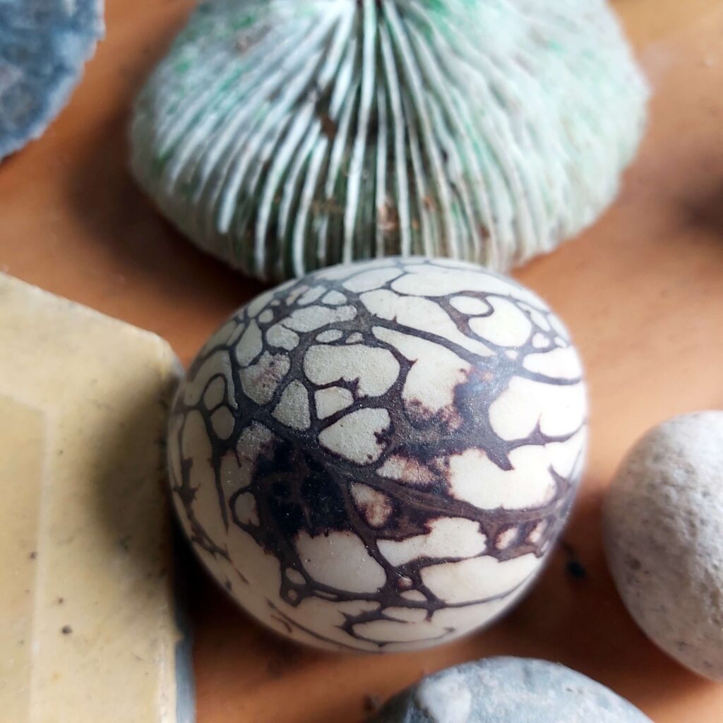 lukas-wimmer-konzultace-jadro