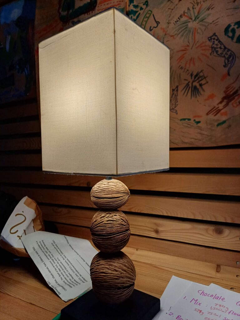 lukas-wimmer-konzultace-lampa-orechy